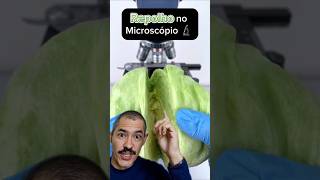 Repolho no Microscópio  Você gosta desse vegetal [upl. by Ailecra]