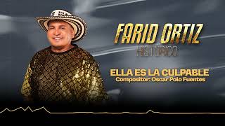 Ella Es La Culpable  Farid Ortiz Visualizer [upl. by Weintrob]