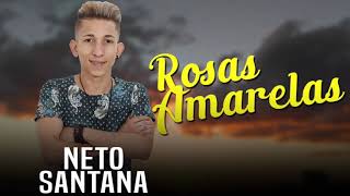 Rosas Amarelas  NETO SANTANA  2018 [upl. by Elrod]