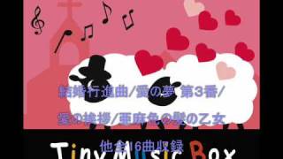 小さなオルゴールの音色で世界の名曲を。「TinyMusicBox」シリーズ [upl. by Ahtoelc]