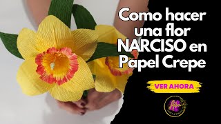 Como hacer una Flor Narciso 🏵️​ en Papel Crepe ✂️​Tutorial para principiantes [upl. by Gnod]