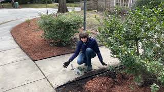 DIY nondig landscaping edging installation Vigoro [upl. by Scutt]