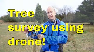 Tree surveying using drone  The Yorkshire Arboretum Tree reports and surveys uk [upl. by Ezra]