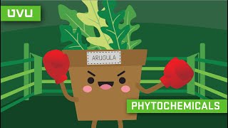 Phytochemicals Explained in Under 2 Minutes [upl. by Armmat]