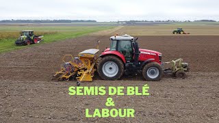 Semis de blé🌾 amp Labour  Charente Maritime [upl. by Ardehs333]