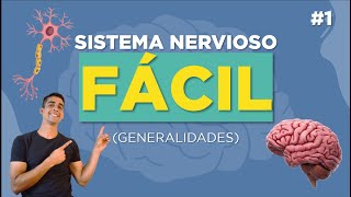 🧠 SISTEMA NERVIOSO CENTRAL Y PERIFÉRICO Resumen Simpático y Parasimpático [upl. by Ikcim]