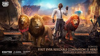 Introducing the First Ever Resizable Lion Companion 🦁  PUBG MOBILE Pakistan Official [upl. by Mavis]