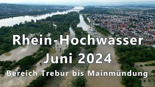 Hochwasser Rhein Juni 2024 [upl. by Des913]