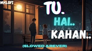 Tu hai Kahan slowed amp reverb Aur Mklofi [upl. by Arenat]