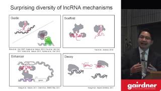 Dr Howard Chang speaks at Canada Gairdner Symposium RNA and the New Genetics [upl. by Ecarret]