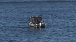 Salmon Fishing Siuslaw River Florence Oregon [upl. by Stclair603]