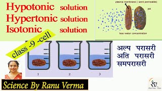 Hypertonic  hypotonic and Isotonic solution  Class 9th CBSE  Science by Ranu [upl. by Lynnelle381]