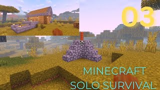 Minecraft solo survival episode 03Making cow crusher and mining place Completely detailed House [upl. by Idoux599]