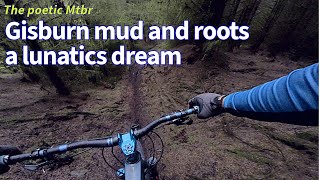 Mountain Biking Gisburn Forest Mud and roots wet muddy scary but great fun [upl. by Kinney]