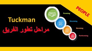 TUCKMAN Model مراحل تطور الفريق [upl. by Lucilla]