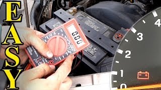 How to Test a Car Battery with a Multimeter [upl. by Malita]