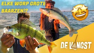 BESTE VISDAG OOIT WE VANGEN ELKE WORP GROTE VISSEN 50 GROTE BAARSEN  DE VANGST 😲🎣 [upl. by Deloria]