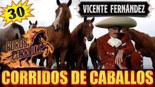 🔥MIX VICENTE FERNANDEZ 2024🔥 CORRIDOS DE CABALLOS 🐴 PURAS VIEJITAS PARA PISTEAR 🔥 [upl. by Aziram467]