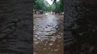 Nungambakkam rainfall rainwater cyclone rain water chennai weather [upl. by Kolk331]