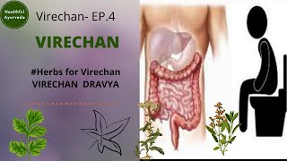 EP4 VIRECHAN DRAVYA HERBS FOR VIRECHAN [upl. by Godden]