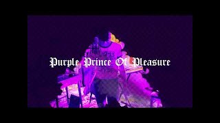 Purple Prince Of Pleasure Marc Bolan Cover [upl. by Halda]