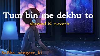 Tum bin me dekhu to slowed and reverb  Tum todo na female version  latest song [upl. by Hanahsuar296]