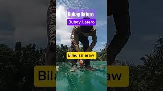 BUHAY LATERO arielclemeniavlog construction shortsvideo [upl. by Michey]