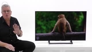 Sony XD80 KD49XD8099BU 49quot 4K Ultra HD TV Review with input lag testing [upl. by Marshall]