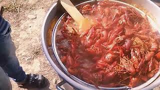 How to cook crawfish New Orleans style [upl. by Hildy]