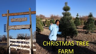 Pine Creek Farm  Christmas Trees Farm Goessel Kansas  USA [upl. by Redd]