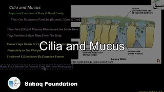 Cilia and Mucus Biology Lecture  Sabaqpk [upl. by Mccourt828]