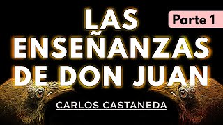 LAS ENSEÑANZAS DE DON JUAN  C Castaneda  Parte 1  Audiolibro completo en español  Voz humana [upl. by Knowlton]