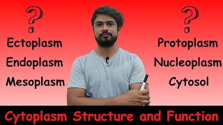 Cytoplasm Structure and Function  Protoplasm  Ectoplasm  Endoplasm  Nucleoplasm  Cytosol [upl. by Ralston]