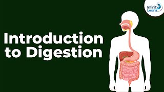 Digestion and Absorption  Alimentary Canal  L1  NEET 202223  Seep Pahuja [upl. by Wymore]