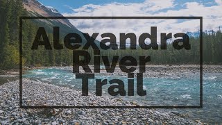 BACKPACKING  ALEXANDRA RIVER TRAIL PART 24  BANFF NATIONAL PARK [upl. by Aniratac615]