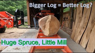 Big Spruce on a Little WoodMizer Mill woodmizer kubota stihl husqvarna [upl. by Yliak]