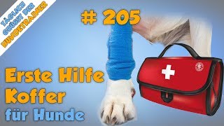 Erste Hilfe Kasten für Hunde Was ihr wirklich für den Notfall braucht💊 TGH 205 [upl. by Kerwin518]