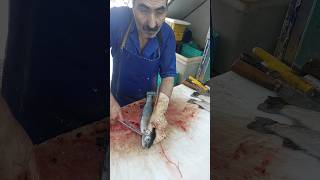 Practical tutorial on filleting trout fishcutting [upl. by Agnola189]