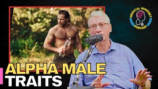 What makes a successful alpha male  Dr Frans de Waal Primatologist [upl. by Longmire569]