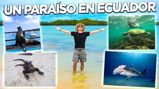 🐢 LA GUIA para VIAJAR a las ISLAS GALÁPAGOS 2022 🦎 Con todos los costos 💰💰💰 [upl. by Orual]