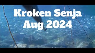 Vanlife Norway  Snorkling Kroken Senja Aug 2024 [upl. by Hgeilyak]