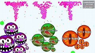 TYT LAST MAN STANDING  Agario Highscore Gameplay Agario [upl. by Alyac]