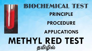 Methyl red test  principle procedure and observations  Biochemical tests  Tamil [upl. by Noffets458]