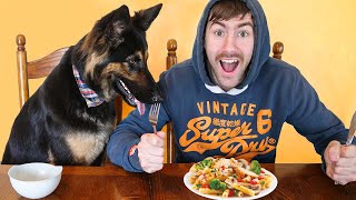 I taught my dog to eat at the table [upl. by Jabe]