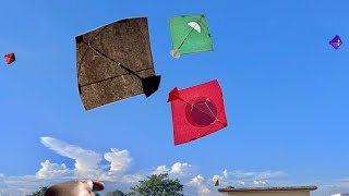 Kite cutting new manjha 🔥  Kite flying  Kite fighting  Kite [upl. by Carine]