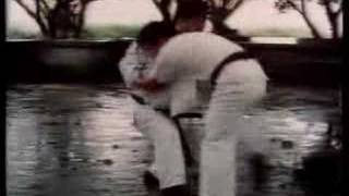 PART 14 Hung I Hsiang BBC Documentary [upl. by Nylra]