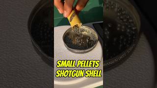 Birdshot Cartridge Pellets shorts shotgun unboxing gun hunting 12gauge opinel cartridges [upl. by Oker]