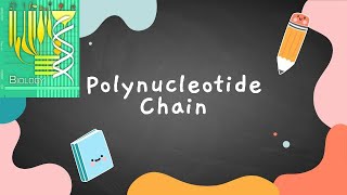 Structure of Polynucleotide Chain  Class 12 [upl. by Sane824]