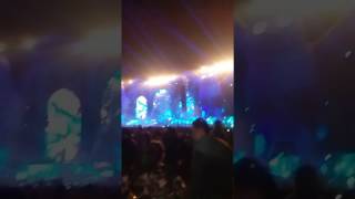 Live  Nucleya Laung gawacha  EDC INDIA 2016 [upl. by Agripina]