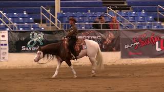 Titans 2018 Cactus Reining Classic Open Derby Run [upl. by Luing]